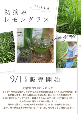 熊本県産レモングラス(2g×10包) | chamstea36